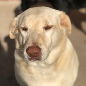 Meet your Posher, Camryn